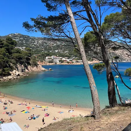 Primos Calonge (Catalonia)