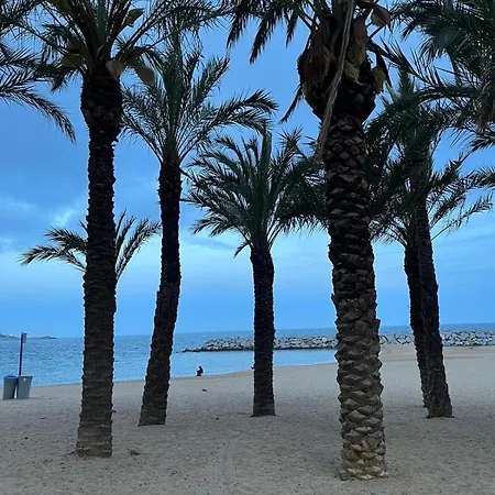 Primos Calonge (Catalonia)