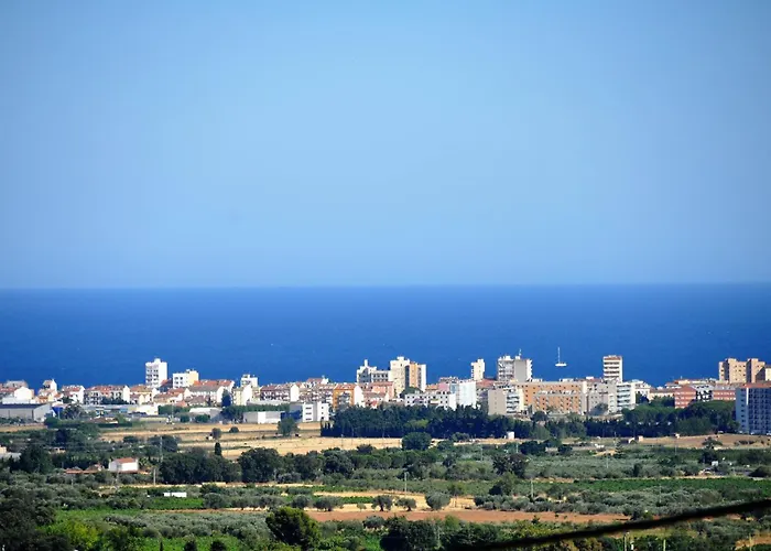 Primos Calonge (Catalonia)