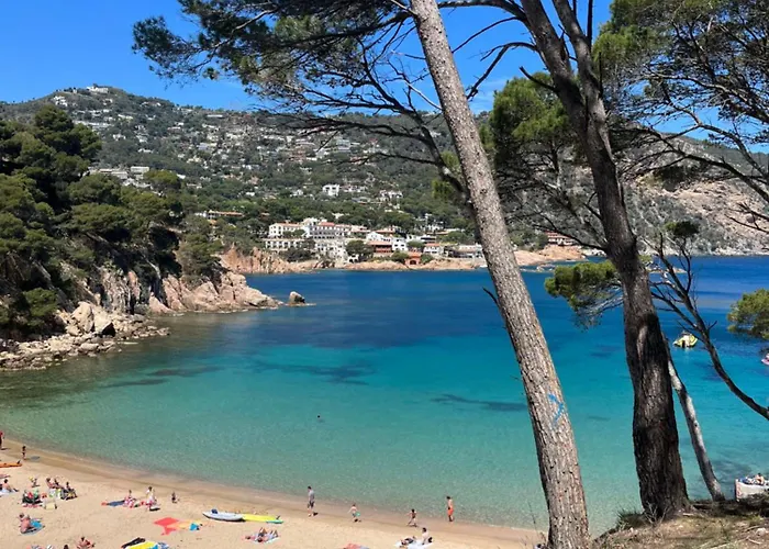 Primos Calonge (Catalonia)