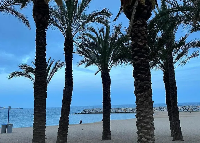 Primos Calonge (Catalonia)